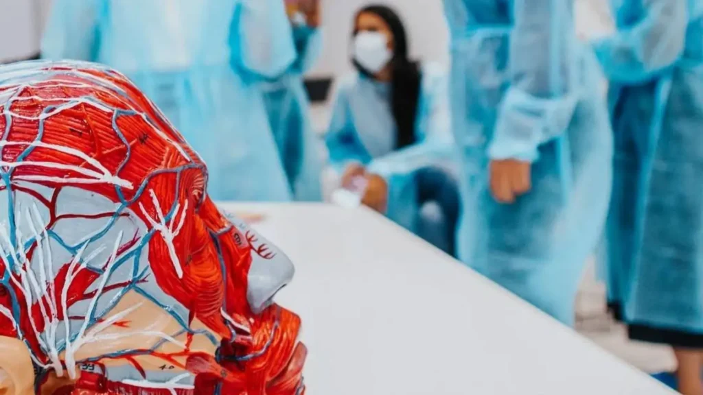 aesthetic training courses